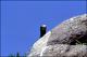 Filmstrip Thumbnail