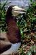 Filmstrip Thumbnail