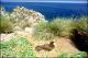 Filmstrip Thumbnail