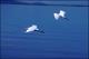 Filmstrip Thumbnail