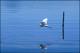 Filmstrip Thumbnail