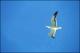 Filmstrip Thumbnail