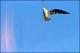 Filmstrip Thumbnail