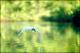 Filmstrip Thumbnail