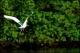 Filmstrip Thumbnail