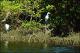 Filmstrip Thumbnail