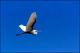 Filmstrip Thumbnail