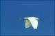 Filmstrip Thumbnail