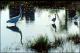Filmstrip Thumbnail