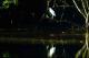 Filmstrip Thumbnail