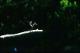 Filmstrip Thumbnail