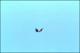 Filmstrip Thumbnail