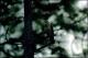 Filmstrip Thumbnail
