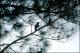 Filmstrip Thumbnail