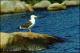 Filmstrip Thumbnail