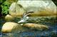 Filmstrip Thumbnail