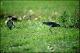 Filmstrip Thumbnail