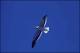 Filmstrip Thumbnail