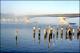 Filmstrip Thumbnail