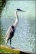 Filmstrip Thumbnail