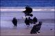 Filmstrip Thumbnail