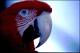 Filmstrip Thumbnail