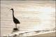 Filmstrip Thumbnail