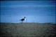 Filmstrip Thumbnail