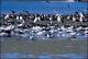 Filmstrip Thumbnail
