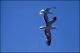 Filmstrip Thumbnail
