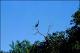 Filmstrip Thumbnail