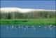 Filmstrip Thumbnail