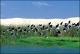 Filmstrip Thumbnail