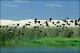 Filmstrip Thumbnail