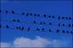 Filmstrip Thumbnail