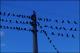 Filmstrip Thumbnail