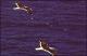 Filmstrip Thumbnail