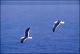 Filmstrip Thumbnail