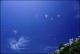 Filmstrip Thumbnail