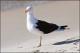 Filmstrip Thumbnail