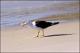 Filmstrip Thumbnail