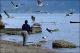 Filmstrip Thumbnail
