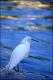 Filmstrip Thumbnail