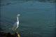 Filmstrip Thumbnail