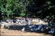 Filmstrip Thumbnail