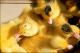 Filmstrip Thumbnail