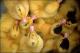 Filmstrip Thumbnail
