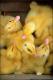 Filmstrip Thumbnail