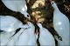 Filmstrip Thumbnail