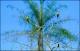 Filmstrip Thumbnail